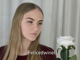 Felicedwinell