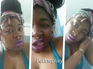 Felineplay