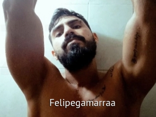 felipegamarraa Zizi X
