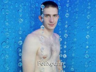 Felixgunn