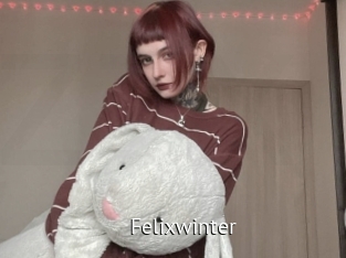 Felixwinter