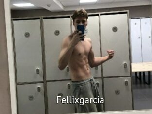 Fellixgarcia