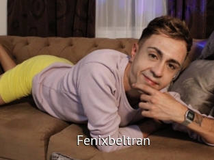 Fenixbeltran