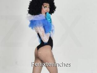 Fenixteninches