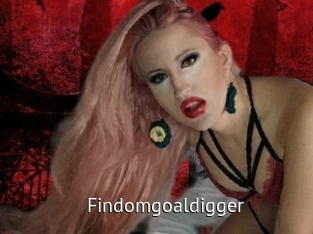 Findomgoaldigger