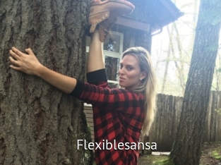 Flexiblesansa