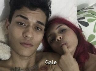 Gale