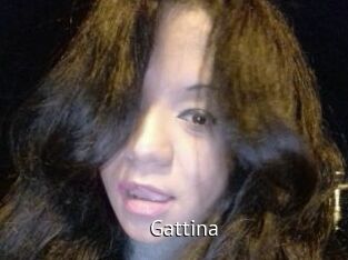 Gattina