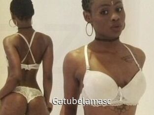 Gatubela_masc