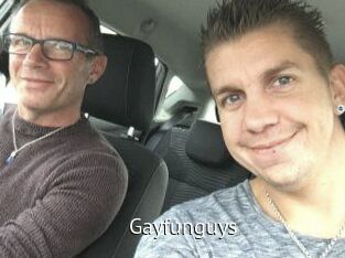 Gayfunguys