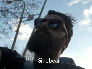 Ginobear