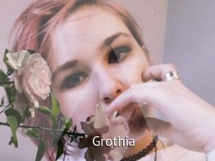 Grothia