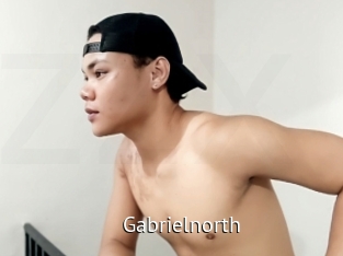 gabrielnorth Zizi X