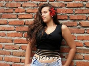 Gabyharvey