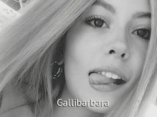 Gallibarbara