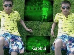 Gaokui