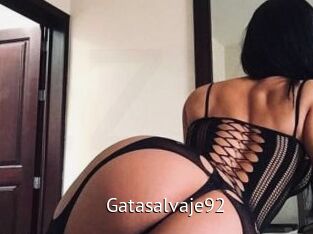 Gatasalvaje92