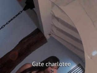Gate_charlotee