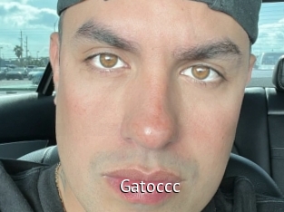 Gatoccc