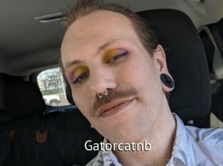 Gatorcatnb