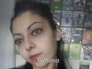Gattahot