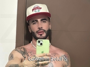 gawainn_zeldris Zizi X