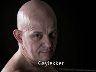Gaylekker