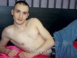 Georgecub
