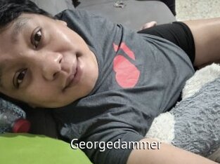 Georgedammer