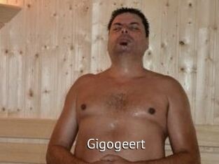 Gigogeert