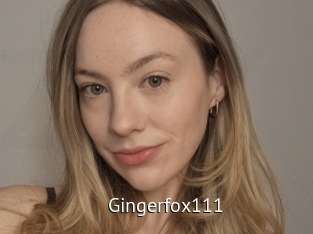 Gingerfox111