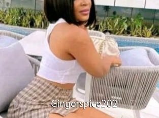 Gingerspice202