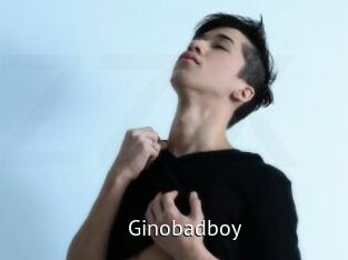 Ginobadboy