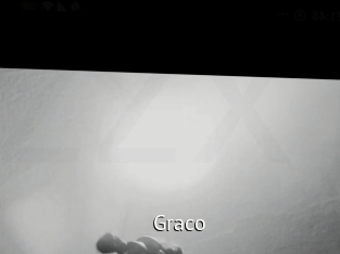 graco Zizi X