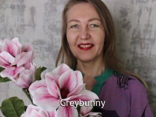 Greybunny
