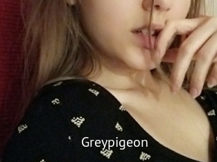 greypigeon Zizi X