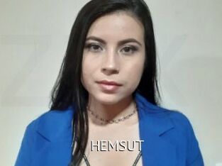 HEMSUT