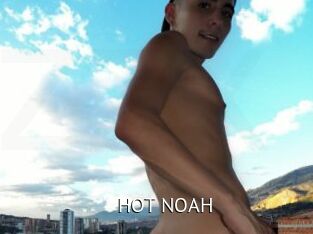 HOT_NOAH