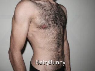 HairyBunny