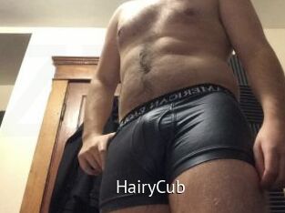 HairyCub