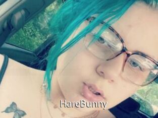 HareBunny
