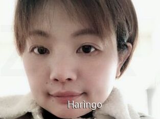 Haringo