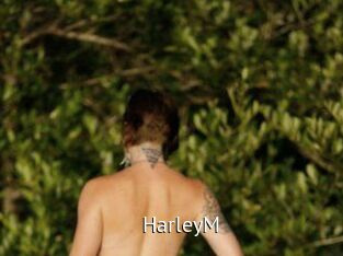 HarleyM