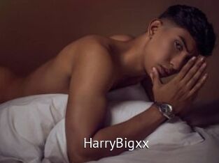 HarryBigxx