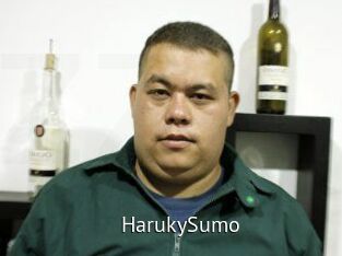 Haruky_Sumo Zizi X