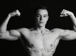 HeilgarVip