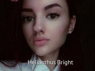 Helianthus_Bright