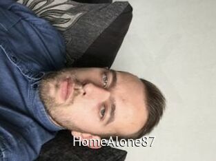 HomeAlone87