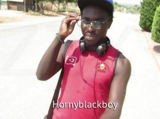Hornyblackboy