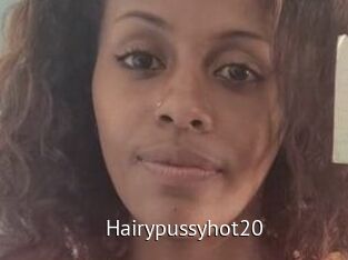 Hairypussyhot20